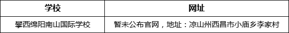 涼山州攀西綿陽南山國際學校網(wǎng)址是什么？