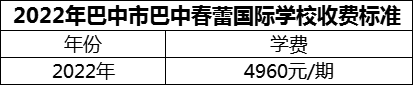 2024年巴中市巴中春蕾國際學校學費多少錢？