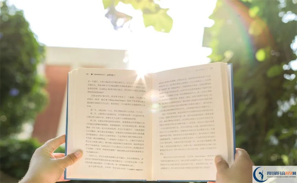 2025年成都市成都美視師一學(xué)校招生分?jǐn)?shù)線|錄取分?jǐn)?shù)線是多少