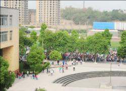 南溪區(qū)第一中學(xué)地理位置在哪？