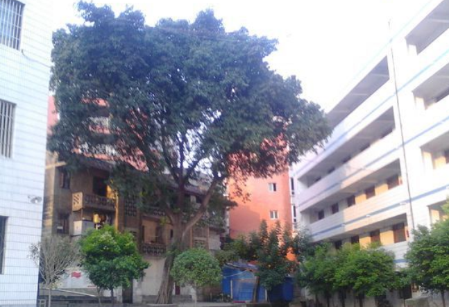 資中縣太平中學(xué)地理位置在哪里？