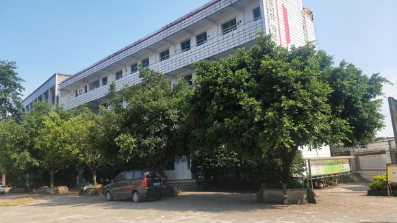隆昌八中在哪里？