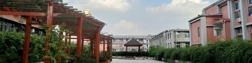 成都市通錦中學(xué)2019年中考分?jǐn)?shù)線是多少？