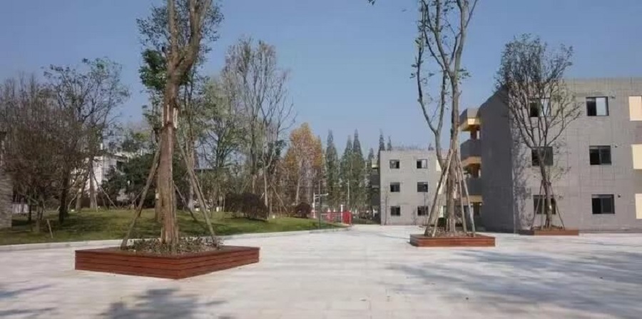 成都綿實外國語學校2019年招生公告公布了嗎？
