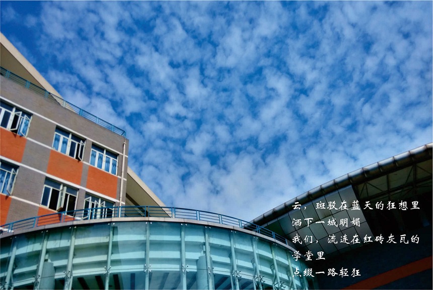 成都七中2020年中考錄取分?jǐn)?shù)線是多少？