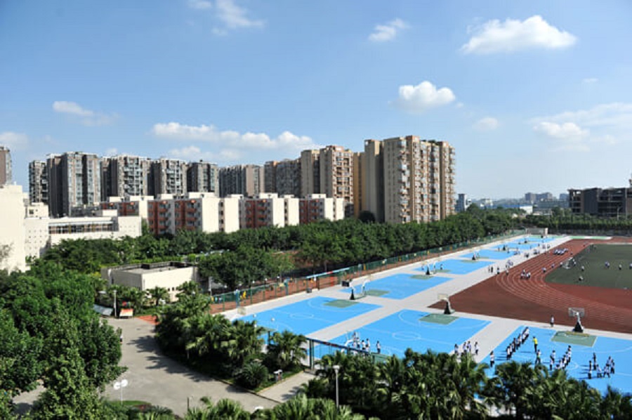 成都棠湖外國語學校2019年招生計劃出來了嗎？