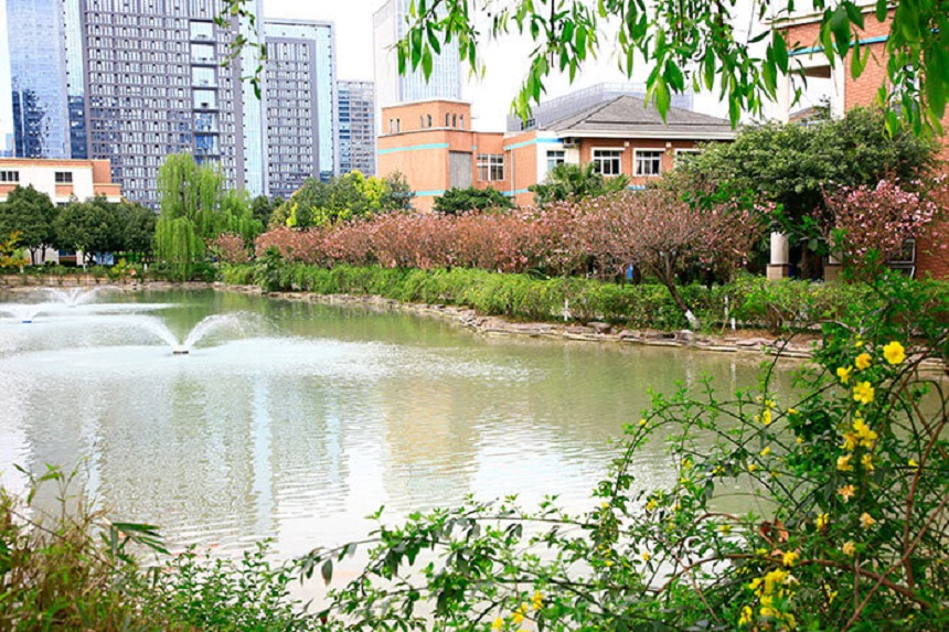 成都美視國際學(xué)校網(wǎng)址是什么？