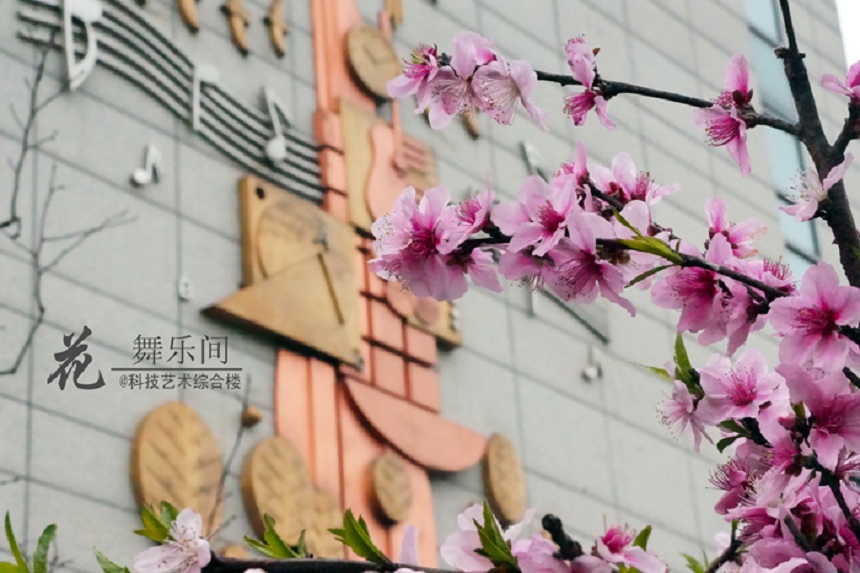 石室天府中學(xué)環(huán)境好不好、怎么樣？
