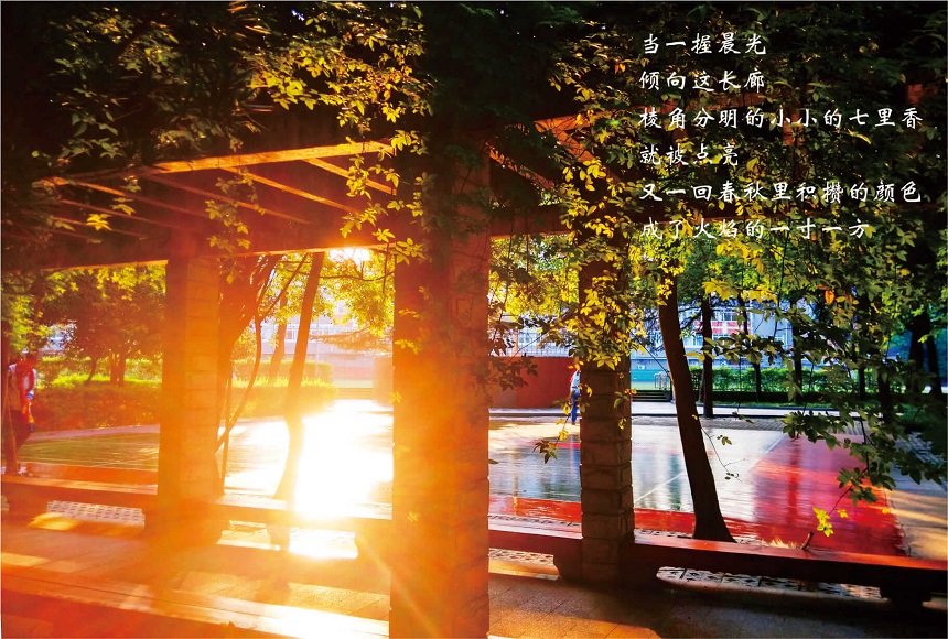 成都七中高新校區(qū)2019年中考分數(shù)線是多少？