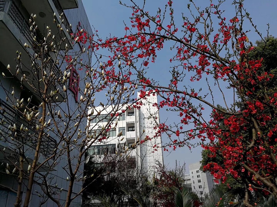 綿陽(yáng)南山中學(xué)教學(xué)質(zhì)量怎么樣？
