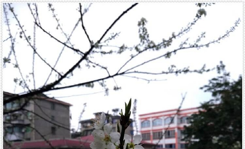洪雅中學是一所公辦高中學嗎？