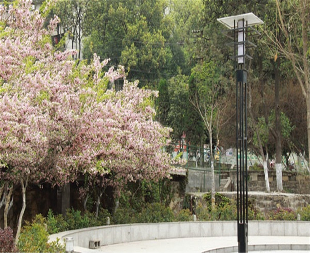 廣元實驗中學(xué)學(xué)校招辦電話是多少？