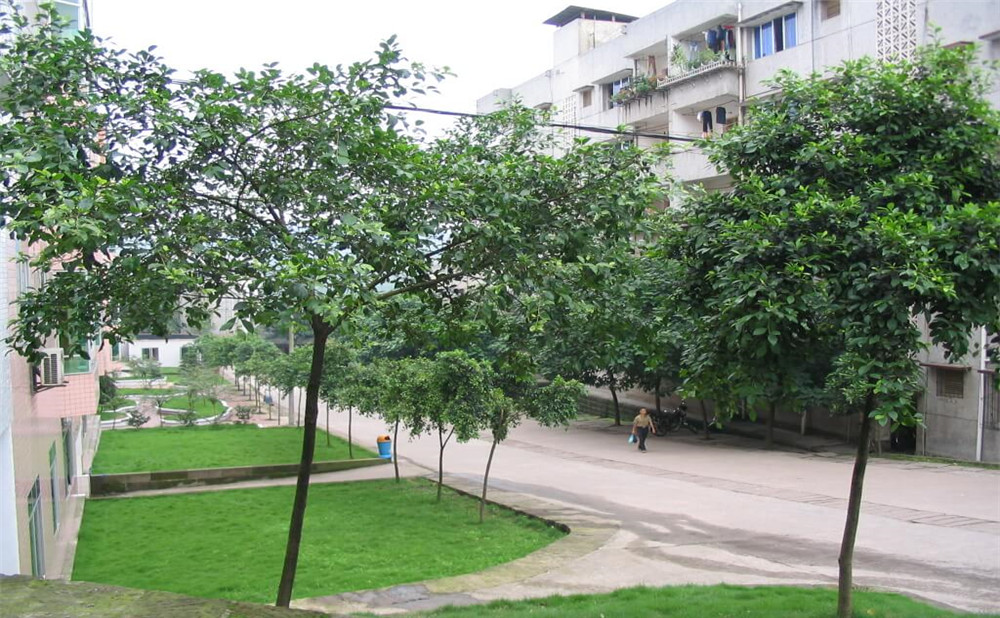 瀘州市納溪區(qū)護(hù)國(guó)中學(xué)地址在哪里？
