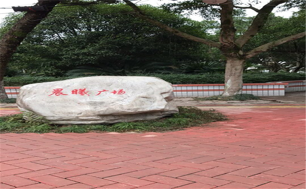 內(nèi)江十二中2020年升學(xué)率怎么樣？
