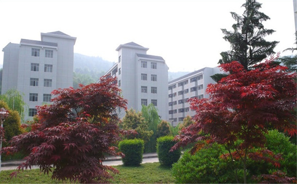 巴中中學(xué)學(xué)校詳細(xì)地址在什么地方？