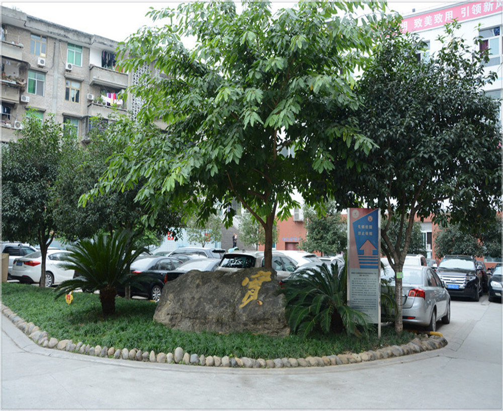 蒼溪實驗中學的環(huán)境怎么樣？