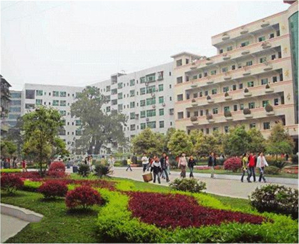 渠縣第二中學(xué)學(xué)校2020年的錄取分?jǐn)?shù)公布了嗎？
