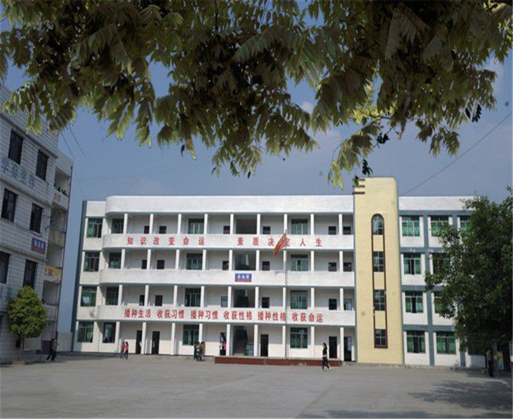 臨巴中學(xué)的詳細(xì)地址在什么地方？