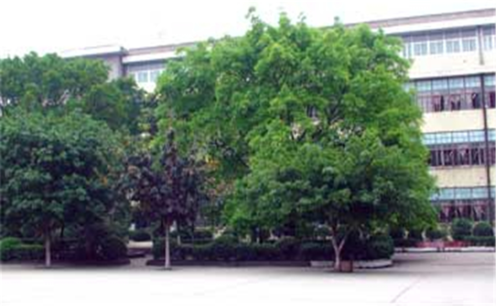 威遠縣自強中學(xué)2020年招生簡章公布了嗎？