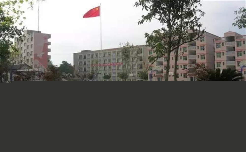 內江市第十一中學學校詳細地址在什么地方？