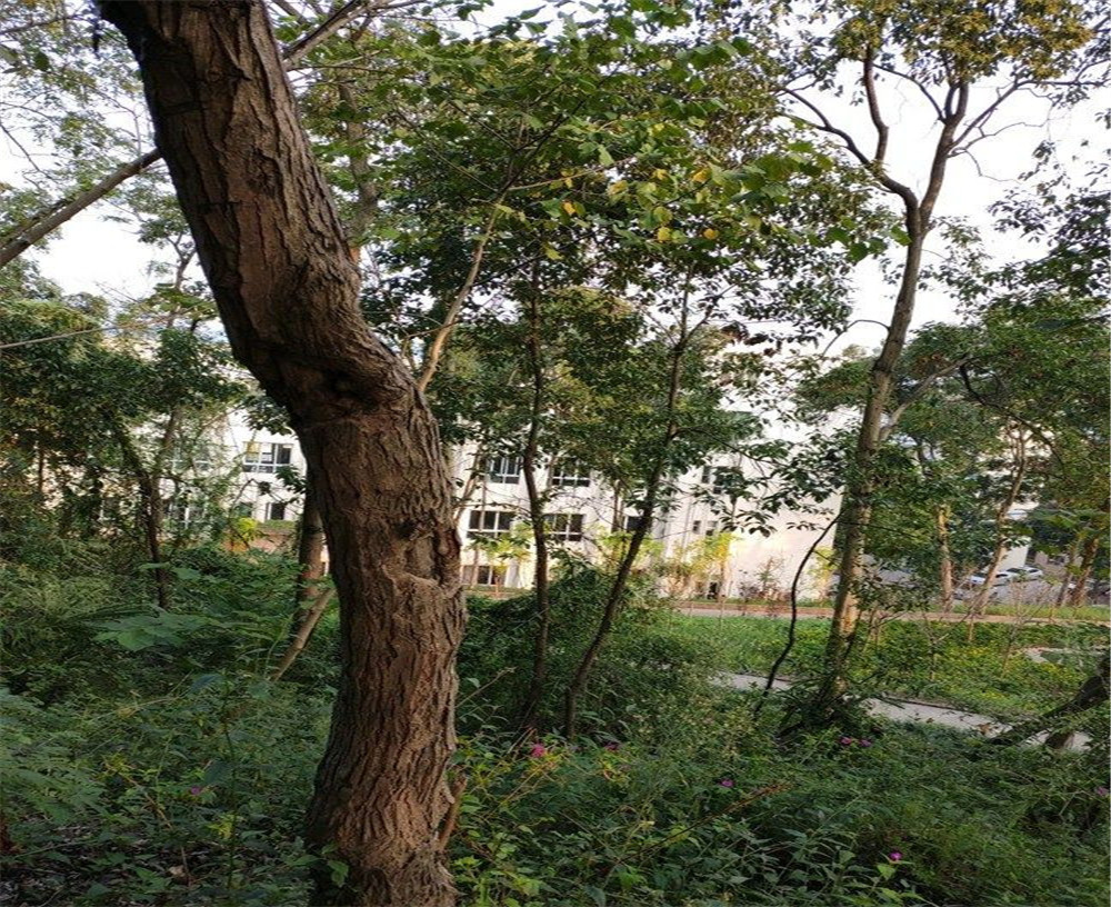 蒲家中學(xué)的詳細地址在什么地方？