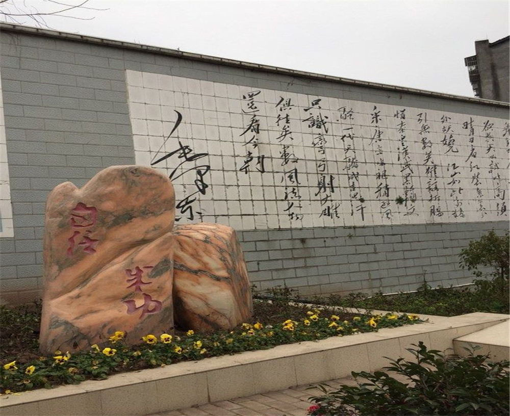 蒲家中學(xué)2020年招生計(jì)劃在哪兒看？