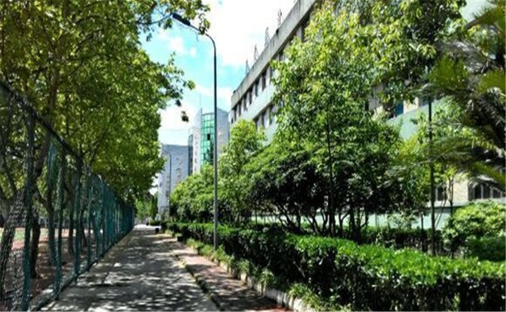 岳池縣第一中學(xué)2020年的招生計(jì)劃公布了嗎？
