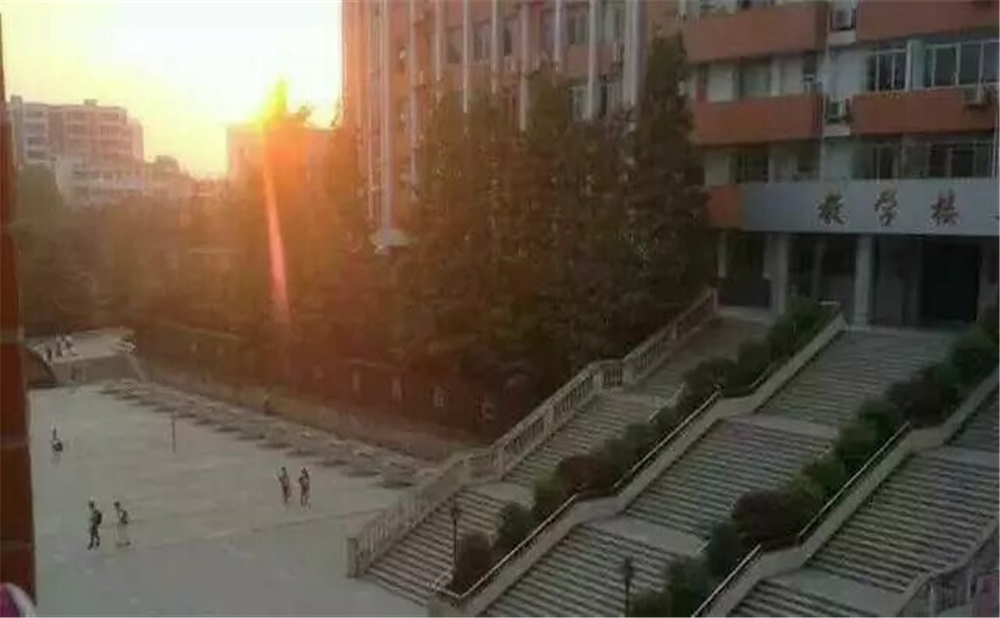 南充十一中學校招辦電話是多少？