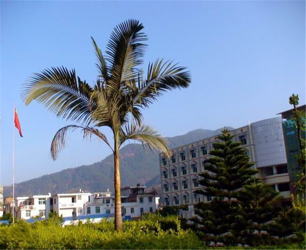 四川省鹽邊縣漁門(mén)中學(xué)2020年學(xué)校學(xué)費(fèi)多少錢(qián)一年？