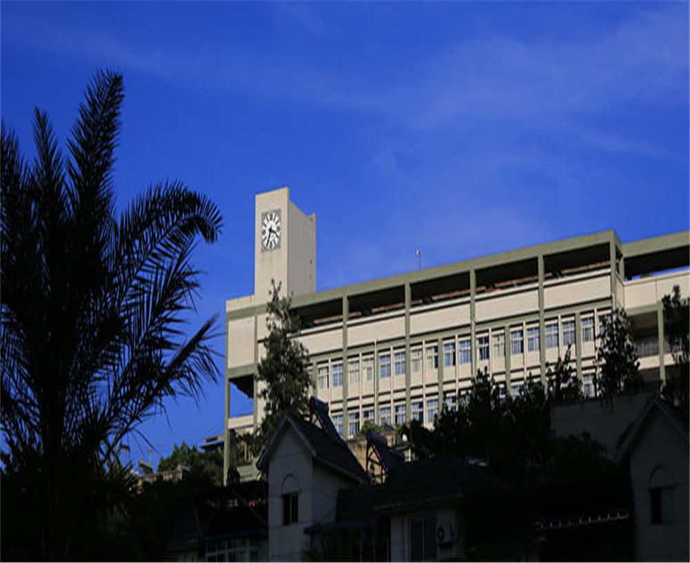 攀枝花市第十五中學(xué)學(xué)校詳細(xì)地址在什么地方？