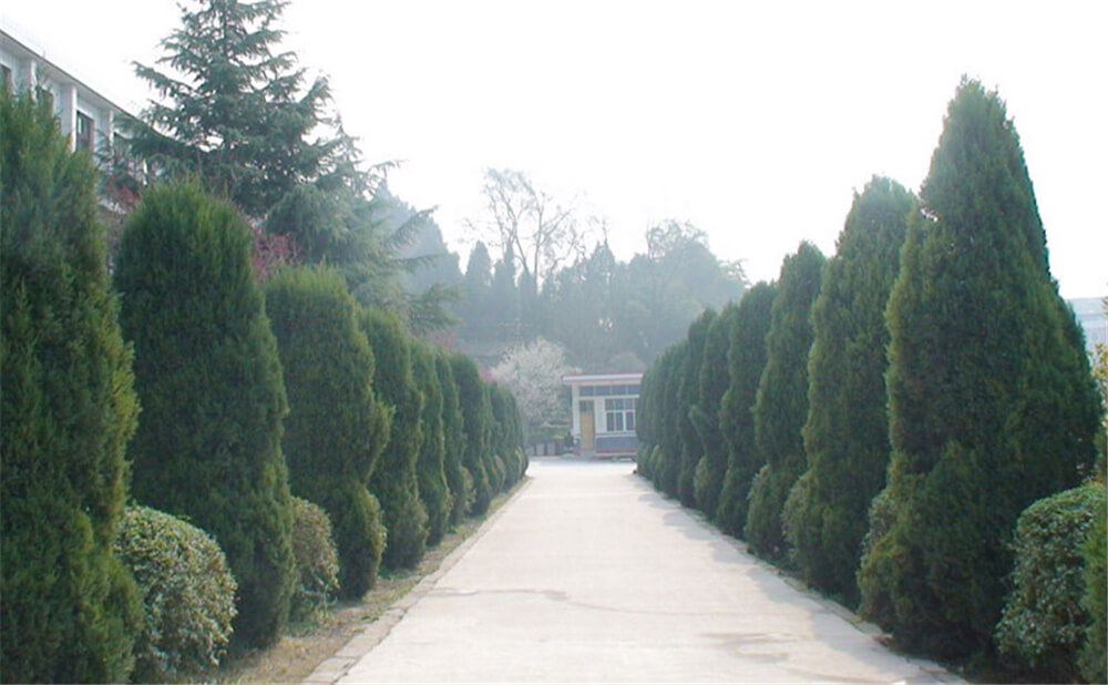 建興中學(xué)學(xué)校招辦電話(huà)是多少？