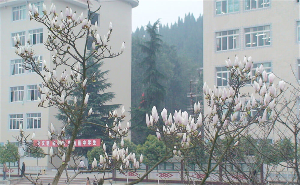 建興中學學校詳細地址在什么地方？