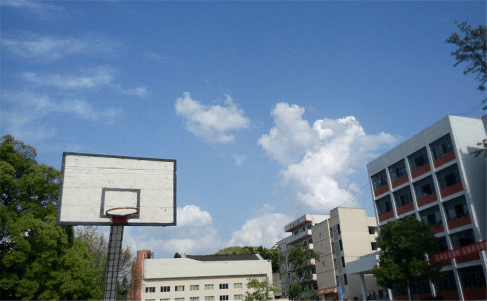 蓬安二中2020年招生計(jì)劃公布了嗎？