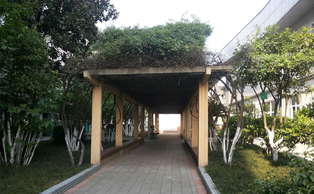 通錦中學(xué)的高中怎么樣？