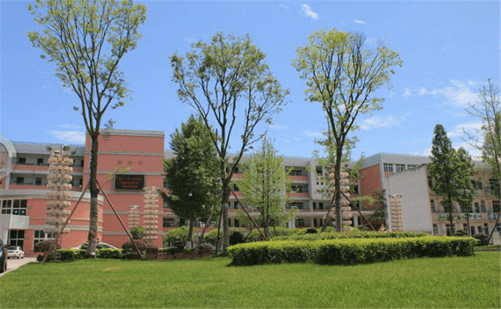 成都市籍田中學的老師怎么樣？