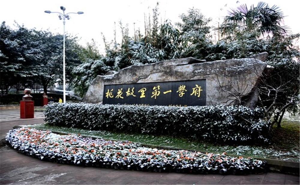 成都市龍泉中學(xué)的升學(xué)率是多少？