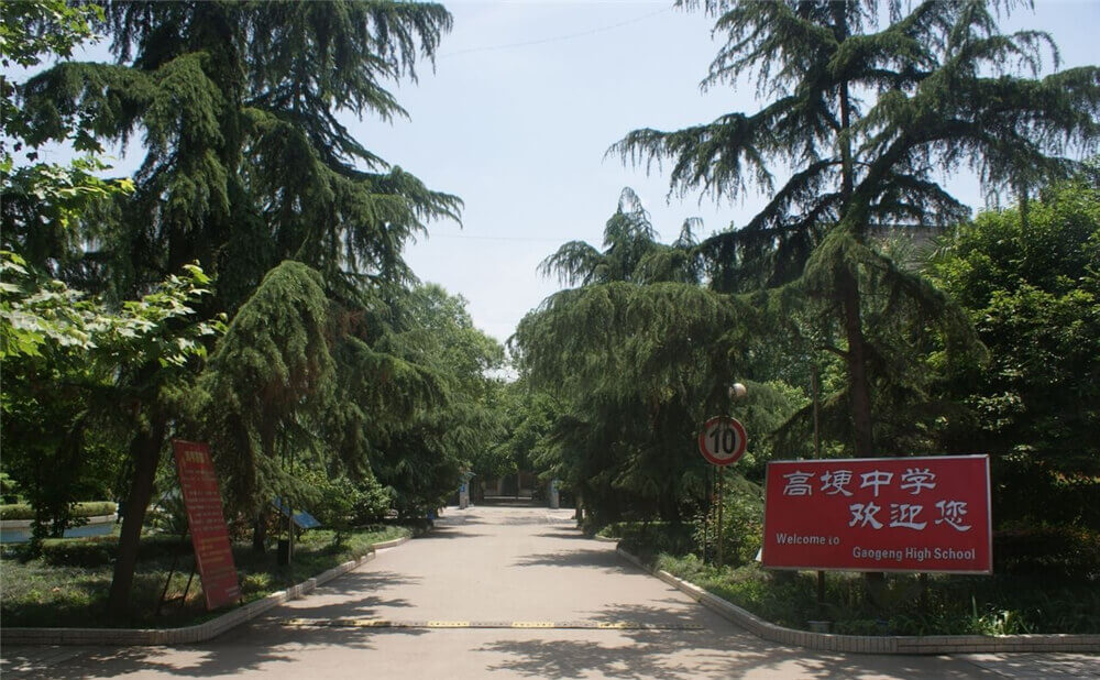 高埂中學(xué)的學(xué)費(fèi)是多少錢(qián)？