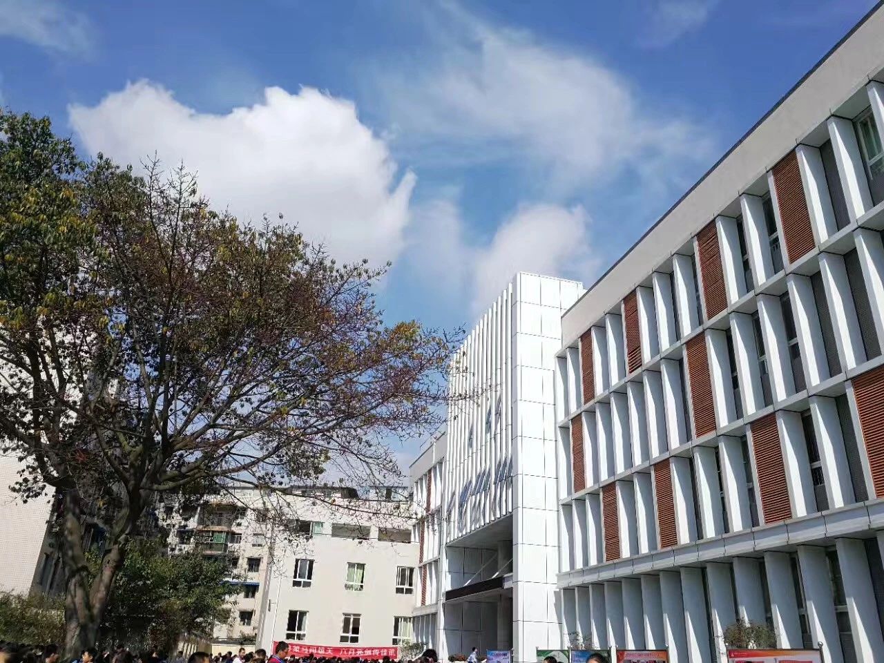 成都二十中高中一年的學(xué)費是多少？