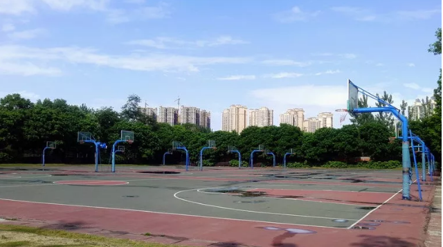 成都實(shí)驗(yàn)外國語學(xué)校的本科升學(xué)率是多少？