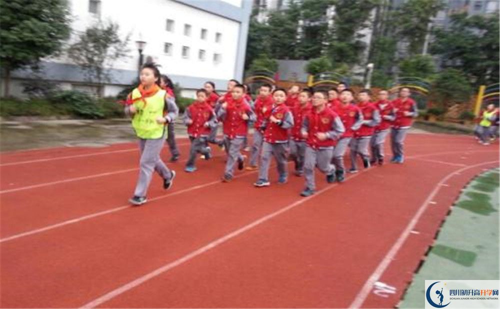 2020成都市泡桐樹中學(xué)的升學(xué)率有多少？