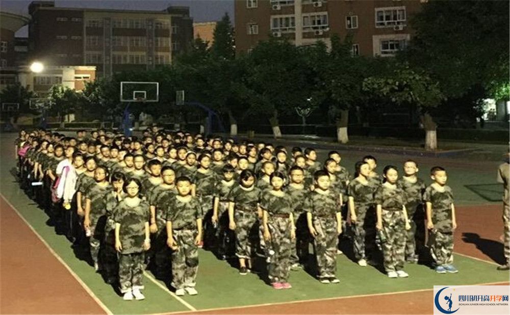 樹德博瑞實驗學校的升學率是多少？