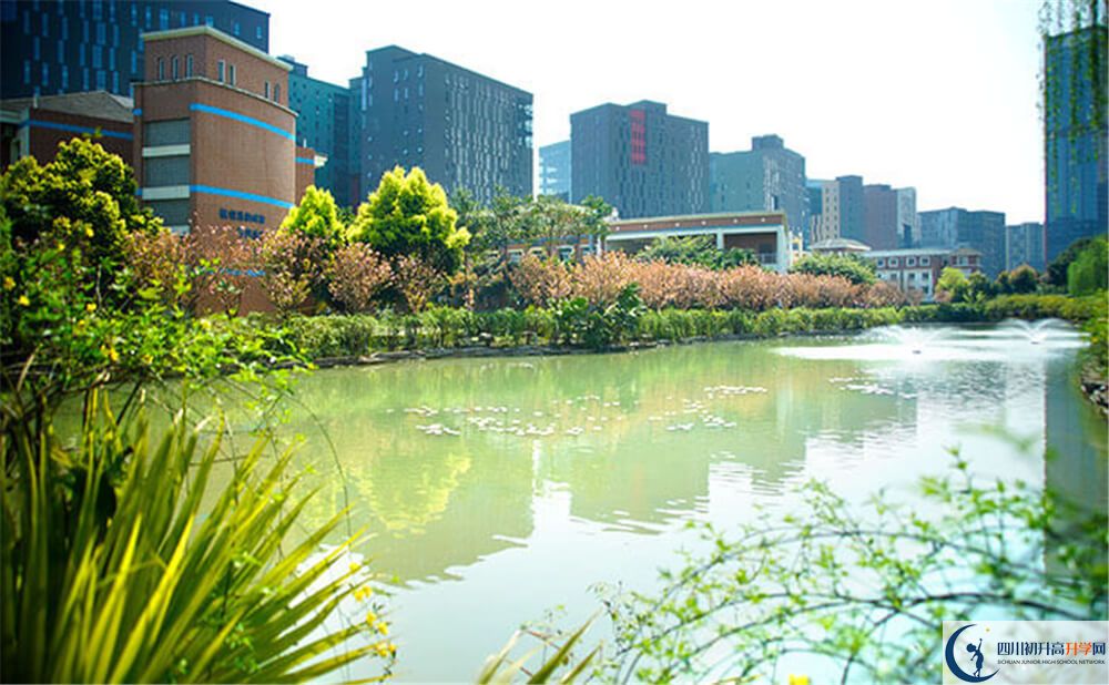 成都美視國際學(xué)校的學(xué)費(fèi)大概多少錢？