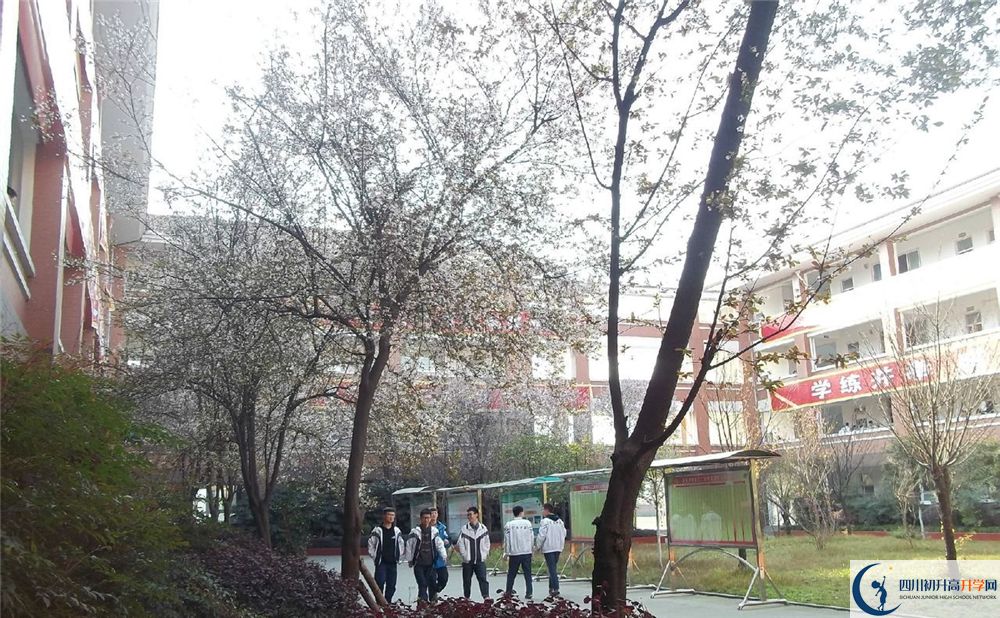 成都三十六中高中歷年來的分?jǐn)?shù)線是多少分？