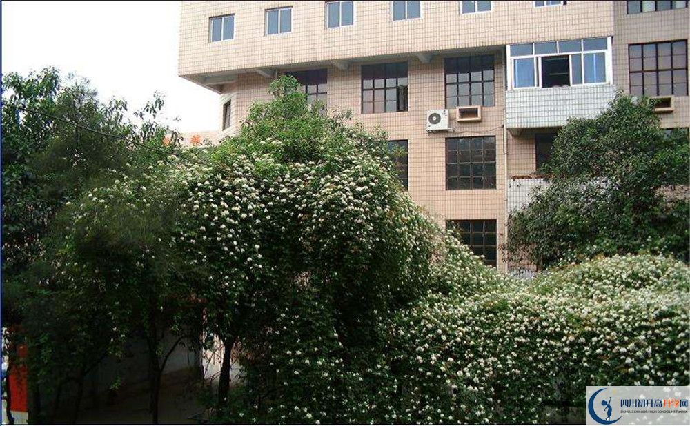 石室聯(lián)合中學蜀華分校住宿條件怎么樣？					