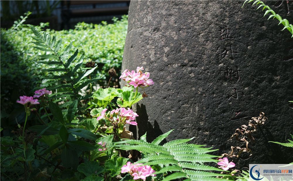 石室聯(lián)合中學(xué)蜀華分校住宿費用是多少？