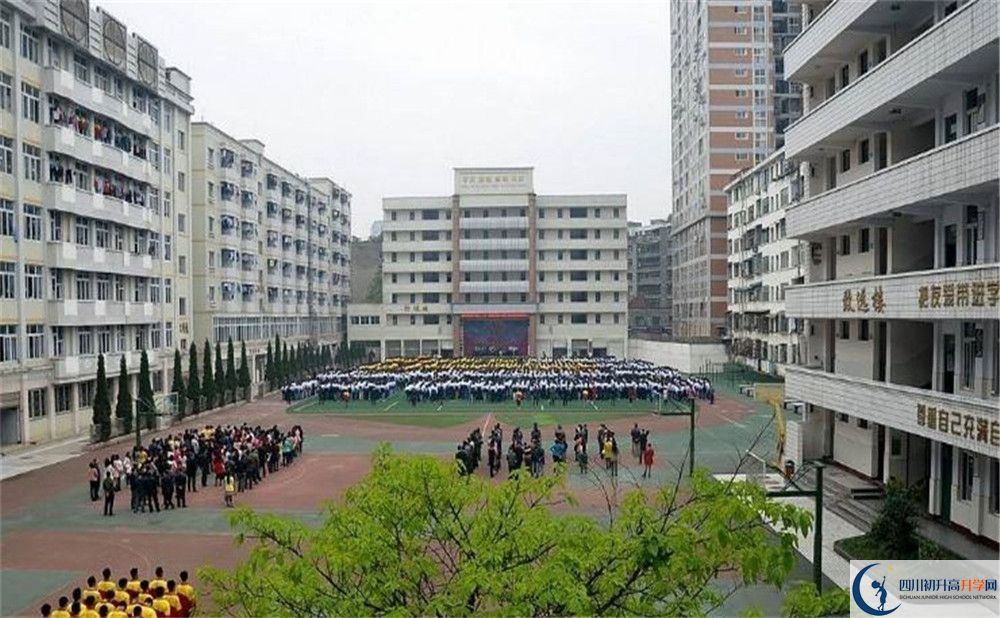 陽安中學的高一分班嗎？