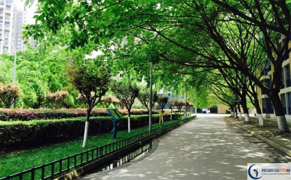 成都七中實(shí)驗(yàn)學(xué)校自主招生條件是什么？
