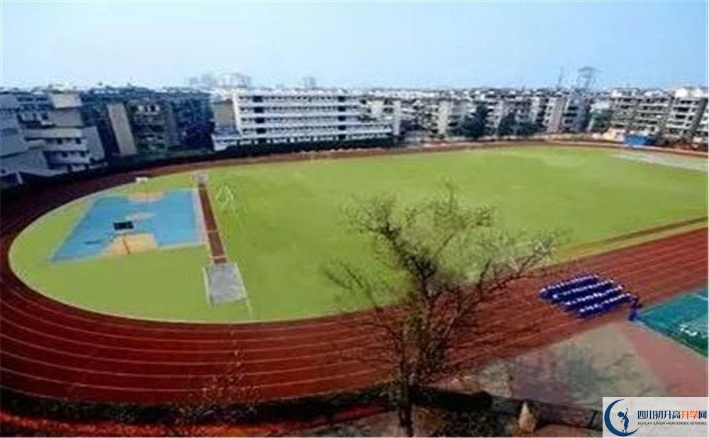 成都實(shí)外新都五龍山學(xué)校招生考試科目有哪些？