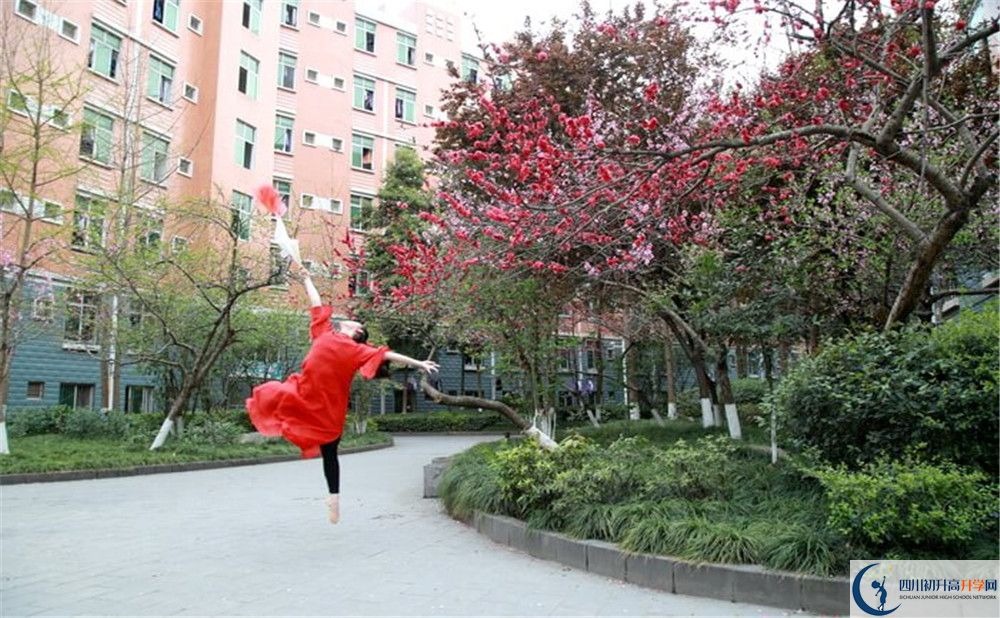 簡(jiǎn)陽(yáng)中學(xué)2020年保送清華北大的人數(shù)是多少？