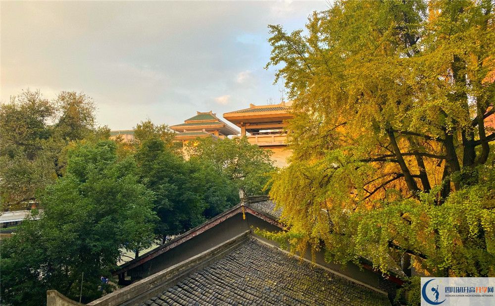 成都石室中學(xué)位置在哪里？